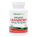 NaturesPlus Organic Cranberry 500 mg - 60 Kapseln - Hilft, gesunde Urinary Tract zu fördern - USDA Certified Organic, Vegan, Glutenfrei, Non-GMO - 30 Portionen