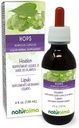 Naturalma Hops (Humulus lupulus) Strobilus oder Cone (Female Flowers) Alkoholfreie Tinktur - 4 fl oz Flüssiger Extrakt in Tropfen - Kräuterergänzung - Vegan