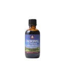 WishGarden Kräuter Chlorophyll & Friends - Chlorophyll Flüssigkeitstropfen mit Nettle Leaf, Heilige Basilikum, Moringa Leaf & Peppermint Blatt, unterstützt Erhöhte Energie, Gesunde Immune, & Stress Response, 2oz