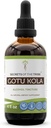 Secrets of the Tribe Gotu Kola Tincture Alkohol Liquid Extract, Gotu Kola (Centella Asiatica) Getrocknete Kräuter (4 FL OZ)