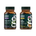 Gaia Herbs Vitex Berry (Chaste Tree) - Unterstützt Hormon Balance & Fertilität für Frauen - 60 Vegan Caps & Liver Health - Leberergänzung mit Milchdistel, Licorice Root für Leber und saubere Unterstützung -