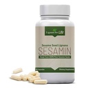 Lignans For Life Sesam Extract - 540 mg mit 81 mg Sesamin und 27 mg Sesamolin, Lebergesundheit und Immununterstützungsergänzung für Hormon Balance und allgemeines Wellness in Männern und Frauen, 90 Kapseln