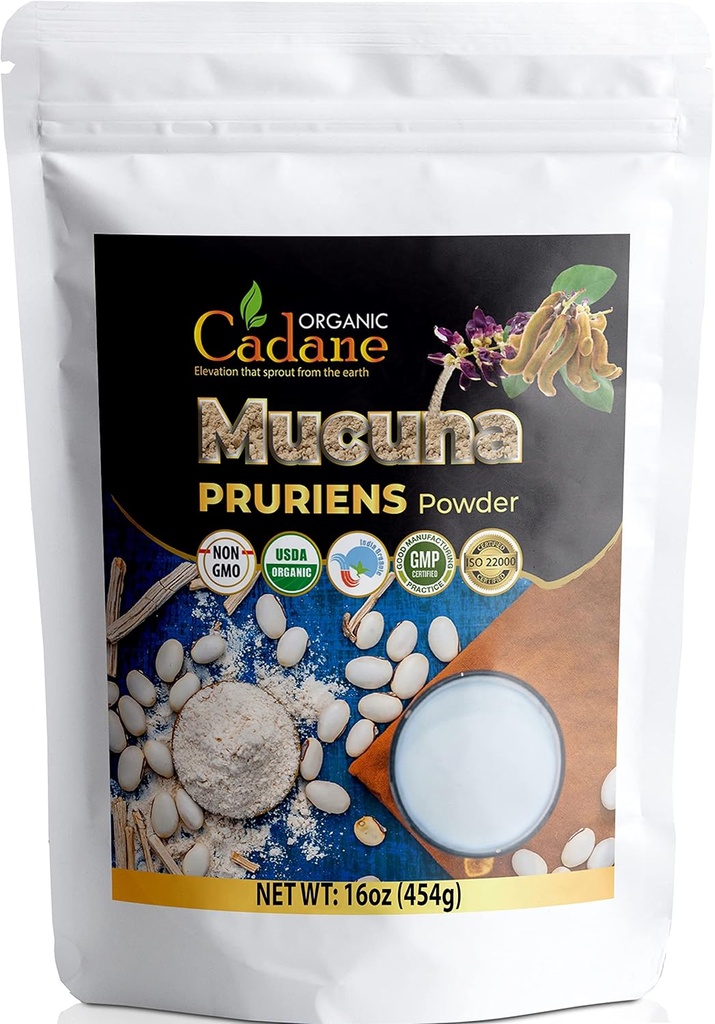 Bio Cadane Mucuna Pruriens Pulver 1 Pfund | Fördert Gehirngesundheit, unterstützt Immunsystem, Energie | USDA zertifizierte vegan-Friendly Supplements | Natürliche Velvet Bohnen Extrakt aus Indien