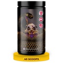 Undergound Bio Labs: Panda Supps Pandamic, Extreme Pre Workout für maximale Leistung, Pumpe und Fokus (40 Scoops) (Grape Bubblegum)