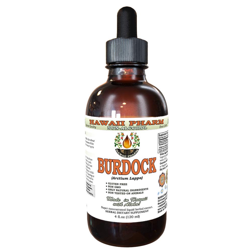 Hawaii Pharm Burdock Alcohol-Free Liquid Extract, Burdock (Arctium Lappa) Dried Root Glycerite Natural Herbal Supplement 4 oz