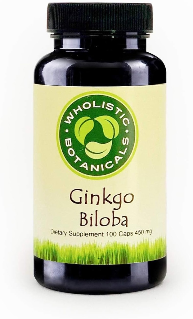 Ginkgo Biloba Kapsel — Memory Supplement für Gehirn — Energieergänzung — 100 ct