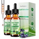 2 Pack flüssige Eisen Ergänzung für Frauen Männer & Kinder, Vegan Eisen Tropfen mit Vitamin C D, B12, B-Komplex, hohe Potenzflüssigkeit mit Multivitamin für Anämie, Energieunterstützung, Magnesium Iron Gentle