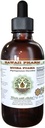 Muira Puama Alkoholfreie Flüssigextrakt, Bio Muira Puama (Ptychopetalum Olacoides) Glycerite Natural Herbal Supplement, Hawaii Pharm, USA 4 Unze