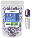 XPRS Nutra Größe 3 Leere Kapseln - 1000 Graf Leere Gelatine Kapseln - Pillen DIY Kapsel Füllung - Pure Bovine Pille Gel Kapseln füllbar für Do-It-Yourself Vitamine und Ergänzungen (Pearl Purple/White)