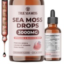 TrueSeaMoss Irish Sea Moss Drops - 5X Stronger Than Sea Moss Gel - 92+ Essentials Minerals - mit Spirulina Pulver, Burdock Root & Black Cumin - 2 Fl Oz (60ml) - Erdbeeren Flavor