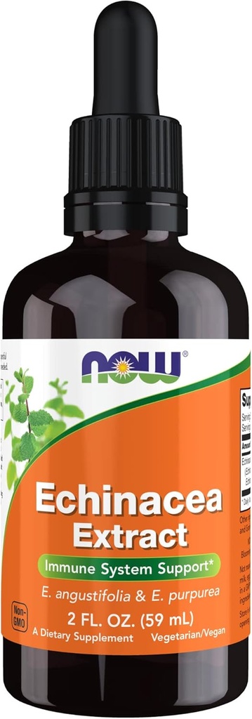JETZT Nahrungsergänzungsmittel, Echinacea Extrakt Flüssigkeit mit Tropf, Immunsystemunterstützung*, 2-Ounce