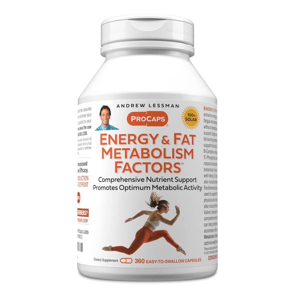 ANDREW LESSMAN Energy and Fat Metabolism Factors 360 Capsules - Promotes Optimum Fat Burning and Energy Metabolism, with Carnitine, Green Tea, Guarana, Ginseng, B-Complex. Easy to Swallow Capsules