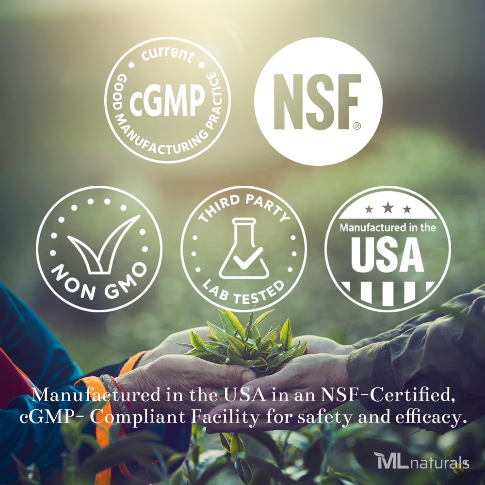 ML Naturals Mushrooms Complex 120 Gemüsekapseln. 6 Essential Mushrooms: Bio Reishi, Lion's Mane, Cordyceps, Healthy Immune Support, NSF-zertifiziert & cGMP-Compliant.