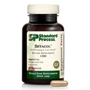 Standard Prozess Betacol - Unterstützt Leberfunktion & Bile Produktion - Lebergesundheitsergänzung mit Niacin & Vitamin B6 - Glutenfrei, Non-Dairy & Non-Soy - 90 Kapseln