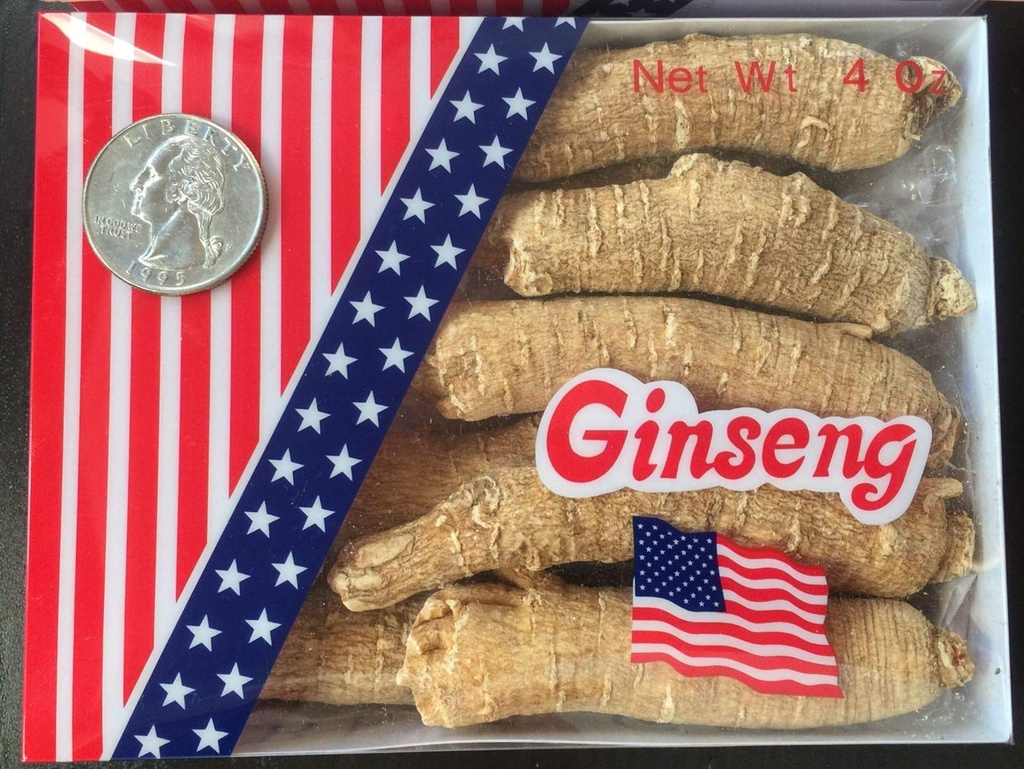 American Ginseng von Wisconsin, Ginseng Root / Ginseng Slice / Ginseng Tea, 4 Unze (Jumbo Long Roots)