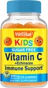 Wellja Echinacea (5 mg) mit Vitamin C (250 mg) Zuckerfreie Gummi für KindermunImmununterstützungsergänzung | Orange Flavor | 60 Count