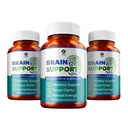 1 Body Brain Support Triple Pack, Alpha GPC und Lion's Mane Extract, 90 Kapseln jeder