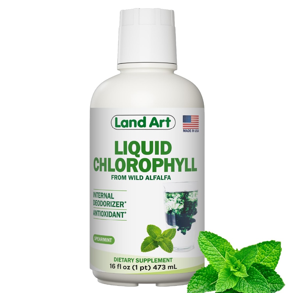 Land Art - Flüssige Chlorophyll Minze – Kalt-Extrakt von Wild Non-GMO Alfalfa – Natürliche Clorofila Liquida – Antioxidans - Detox-Ergänzung – Boost Energy – Alkalisieren & Body Odor Neutralizer – 16 floz