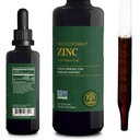 Global Healing USDA Organic Zink ergänzt Flüssigkeit - reine Vitamin Tropfen für Immunsystem Boost, Hormon Balance und gesundes Altern - Natürlich, Vegan-Friendly, Non-GMO, Organische Zink Vitamine (2 Fl Oz)