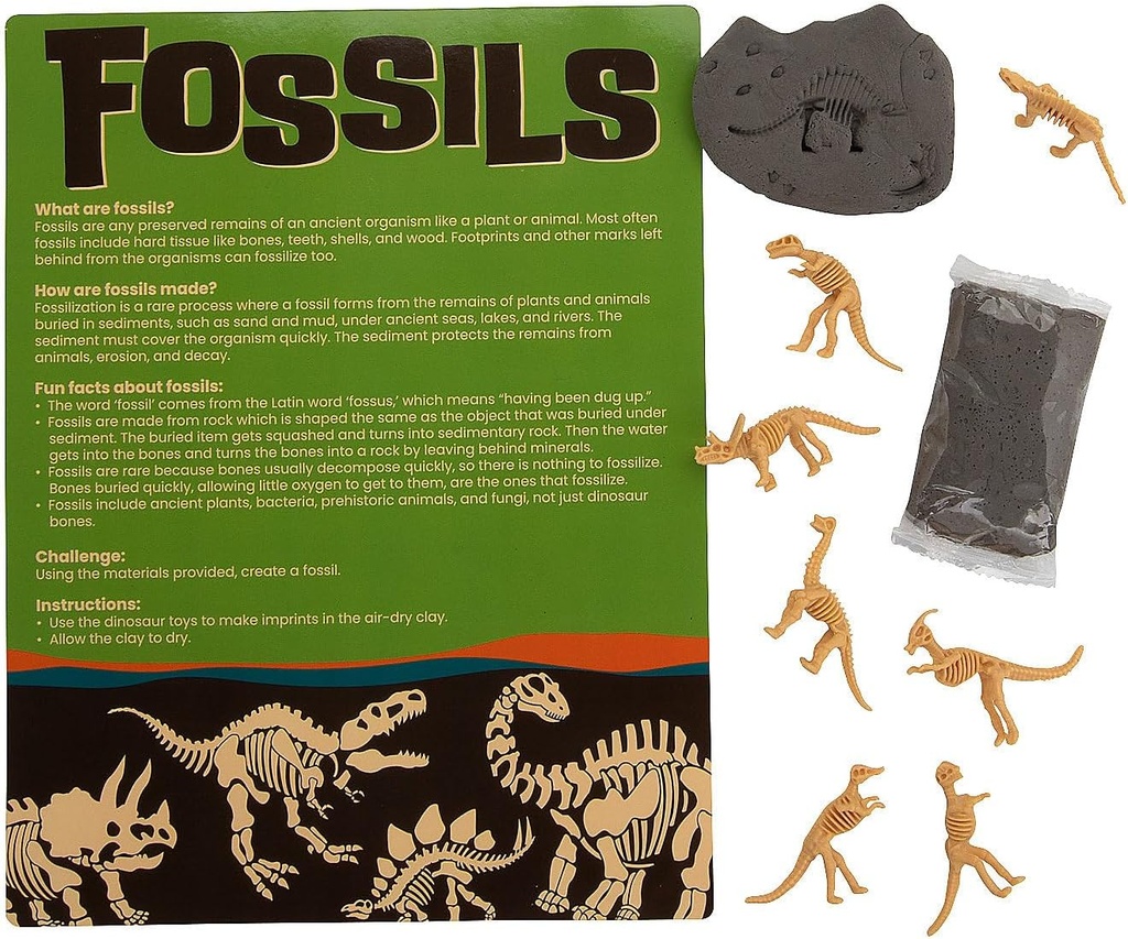 Fun Express Machen Sie Ihr eigenes Fossil Craft Kit - macht 12