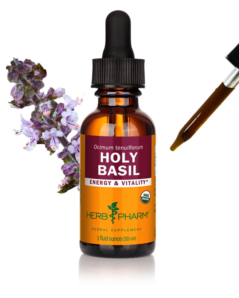 Kräuter Pharm Certified Organic Holy Basil (Tulsi) Extrakt für Energie und Vitalität, 1 Unze (DBAS01)