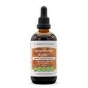 Secrets of the Tribe Mushrooms Blend Alkoholfrei, Glycerite Chaga, Shiitake, Maitake, Cordyceps, Reishi Pilz. Tinktur, Kräuterextrakt Immununterstützung Formel 4 OZ