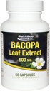 Bacopa Leaf Extract - 500 mg - 60 Capsules