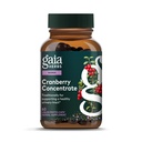 Gaia Herbs Cranberry Concentrate - Hilft Pflege Urinary Tract Gesundheit - Herbs mit Bio Cranberry Fruchtsaft Extrakt in bequemen Kapseln - 60 Vegan Liquid Phyto-Capsules (30-Day Supply)