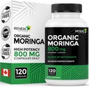 Renew Actives Moringa Blatt Supplement 800MG pro 2 Kapseln- Antioxidant-Rich Moringa Oleifera - Promotes Good Health & Wellness - Einfach zu schlucken - Made in Canada - 120 Kapseln