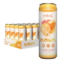 MITRA-9 Botanische Getränke - Orange Dreamsicle Sparkling Kava Drink mit Kava Root Extract - Mood Enhancer - Plant Based - fördert natürliche Beruhigung und Klarheit (12 Fl. Oz) (24)