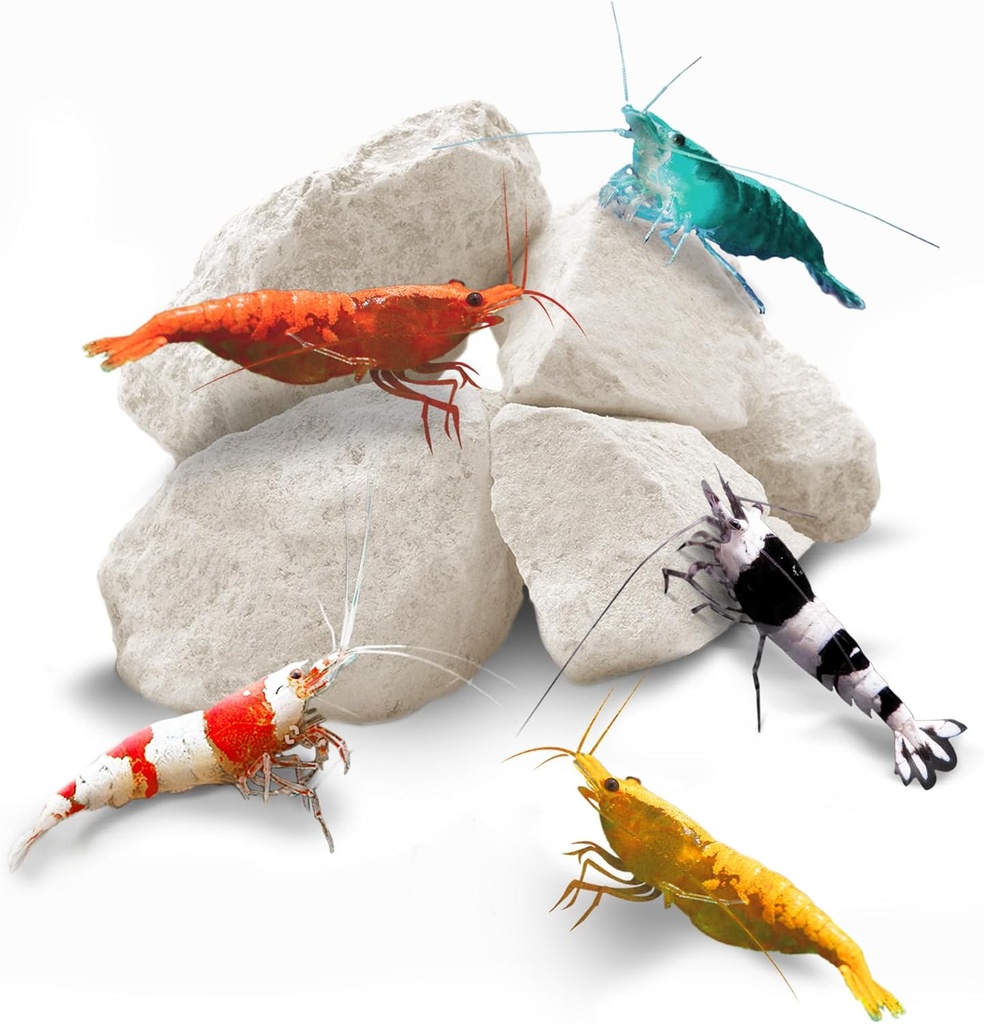 SunGrow Shrimp Rocks, Calcium, Magnesium Rocks für Krebs, Hermit Crab, Schnecken, Crustacean Care, Aquarium Dekor für Crystal Red, Amano und Ghost Shrimps, Nano Tank Zubehör, Fish Tank Supplies