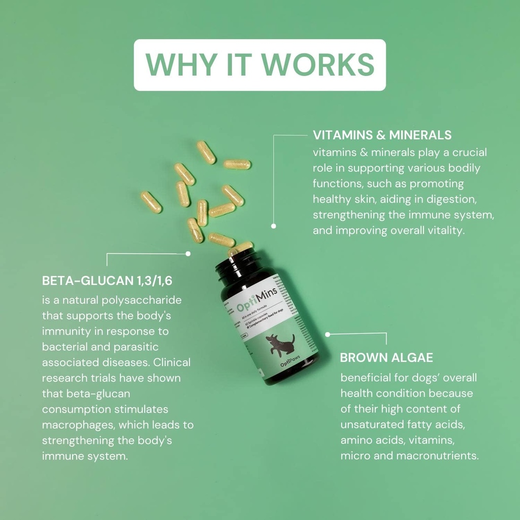 OptiMins Dog Vitamin & Mineral Kapseln - essentielle Nährstoffe für Gesundheit - Vitalität & Immununterstützung - Multivitamin, Aminosäuren und Mineralien für Haut, Verdauung und Herzgesundheit