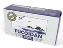[Pill Type] 100% natürlicher brauner Seetang Extrakt Fucoidan USFDA Passed (ID Code 2030950) (50g (20sachets))