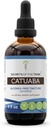 Secrets of the Tribe Catuaba Alcohol-Free Liquid Extract, Wildcrafted Catuaba (Erythroxylum vacciniifolium) Getrocknete Bark Tincture Supplement (4 FL OZ)