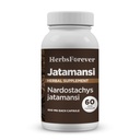 Herbsforever Jatamansi Kapseln | Nardostachys Jatamansi | Premium Kräuterergänzung für Entspannung, Haarpflege und Wellness | 60 Vegan Kapseln, 800 Mg Jede