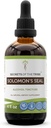 Secrets of the Tribe Solomon s Seal Tincture Alkohol Extrakt, hochkarätige Kräutertropfen, Tinktur aus Wildcrafted Solomon's Seal Polygonatum Respiratory System Gesundheit 4 Unze