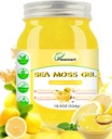 Irish Sea Moss Gel Raw 18.5OZ Natural Wildcrafted Seamoss Gel mit 92 Mineralien und Vitaminen, Gesunde Verdauung, Non-GMO-Projekt