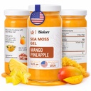 Biolore Wildcrafted Sea Moss Gel - Mango Ananas 16 Unze - Flavored Sea Moss Gel mit essentiellen Vitaminen & Trace Minerals - Vegan Superfood - Made in USA, Gluten-Free, No Added Sugar