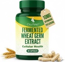 Spermidin Ergänzungen für Männer und Frauen – 10mg, 99% Reinheit, 1000mg Fermented Wheat Germ Extract für zelluläre Erneuerung, Aging Defense und Langlebigkeit Unterstützung – Autophagy Inducer – 60 Kapseln