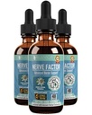 Rejuvica Health NerveFactor - Advanced Nerve Support Supplement - Flüssige Lieferung für bessere Absorption - Acetyl-L-Carnitin, Alpha Lipoic Acid, Vitamin B12, Folsäure, White Willow Bark &amp; mehr!