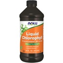 JETZT Nahrungsergänzungsmittel, flüssige Chlorophyll, Super Konzentrat, interner Deodorizer*,Boost Energy, Mint Flavor, 16-Ounce