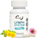 Lymphsystem Support Supplement - Lymphatic Drainage Supplement mit Echinacea purourea Extract,Dandelion Extract 60 Count