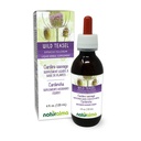 Naturalma Wild Teasel oder Fuller's Teasel (Dipsacus fullonum oder D. sylvestris) Root Alkoholfreie Tincture - 4 fl oz Flüssiger Extrakt in Tropfen - Kräuterergänzung - Vegan