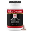 Gesundheitsbelange Power Pilze – Immunsystem & Natural Energy Support – Adaptogene Pilzergänzung mit Reishi, Tremella, Maitake, Poria – Traditionelle chinesische Kräuterergänzung - 90 Kapseln