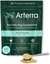 Adult Dog Powder Supplement & Food Topper – 46 Zutaten für Gut, Immun- und Gehirngesundheit – Daily Longevity Multivitamin für Ganzkörper Wellness | 60 Scoops