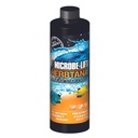 MICROBE-LIFT Herbtana Immun Booster und natürliche Parasitenentferner für Süßwasser und Salzwasser Home Aquariums und Fischtanks, 16 Unzen