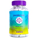 lila baum Nächster Tag – post-Celebration Wellness Supplement | “Take Tomorrow” Blend to Replenish, Restore & Feel Your Best mit Milchdistel, Elektrolyte, Ashwagandha & Vitamine | 90 Kapseln