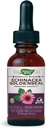 Nature's Way Premium Formel Echinacea-Goldenseal, 250 mg pro Portion, 99,9% Alkoholfrei, 1.01 Oz.