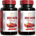 URIC Säure - Urinär Trakt-Unterstützung mit Cranberry, Chanca Piedra, Tart Cherry, Milchdistel und Bromelain, Uric Acid und Kidney-Unterstützung - 2 Flaschen 120 Kapseln