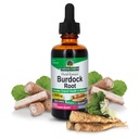 Die Antwort der Natur Burdock Root | Herbal Supplement | Super Concentrated | Promotes Gesamtgesundheit & Wohlbefinden | Niedrig Alkohol & Glutenfrei 2oz